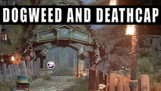 Hogwarts Legacy Dogweed and Deathcap - How to get to the Dogweed and Deathcap shop location Net Worth