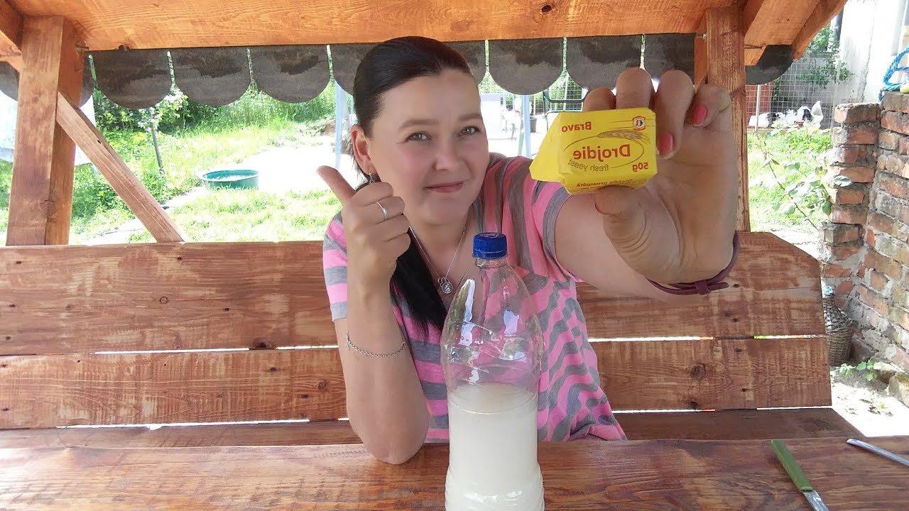 Cel mai bun Îngrășământ cu Drojdie (pentru Plante si răsaduri)