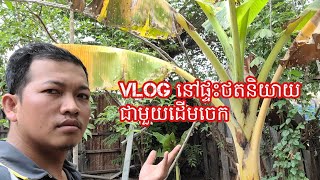 Vlog នៅផ្ទះថតនិយាយជាមួយដើមចេក / Vlog at home recording a conversation with a banana tree 😁😂