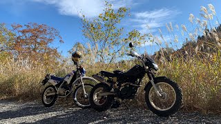 瀞川氷ノ山林道 HONDA ディグリーとYAMAHA TW200で行く 超初心者 林道ツーリング #しふみー #ディグリー #tw200