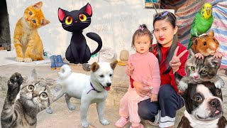 Changcady Và Cam Cam Cho Con Chó Con Mèo Ăn Thịt - Part 46