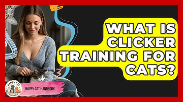 What Is Clicker Training For Cats? - Happy Cat Handbook