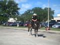 Sterling Library&#39;s Mounted Patrol
