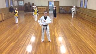 Nunchakus Level 3 Form - Chunk #1