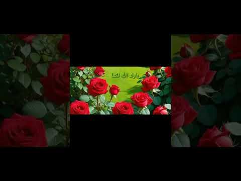 بارك الله لكما وبارك عليكما وجمع بينكما في خير