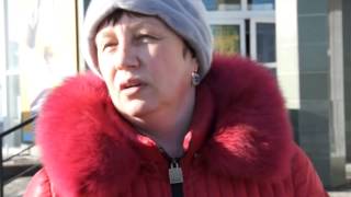 "Отлов и уничтожение" бродячих собак "Отлов и уничтожение" бродячих собак
