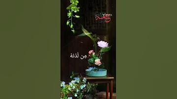 #قران_كريم_بصوت_جميل_جدا @islam_sobhi سورة الكهف نور ما بين جمعتين #جمعة_مباركة #جمعة_طيبة