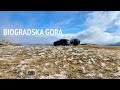 Biogradska gora