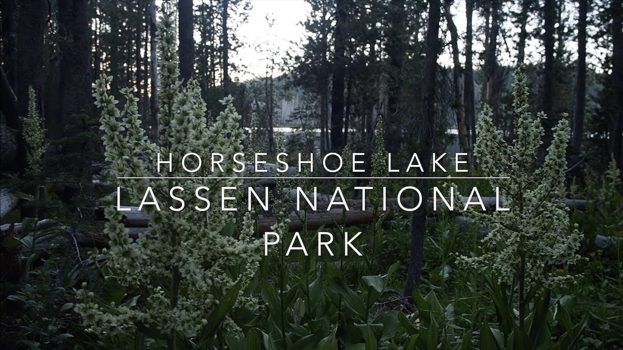 Lassen Horseshoe Lake Pre Dixie Fire