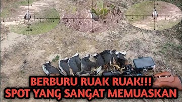 Berburu ruak ruak!!!Spot yang sangat memuaskan