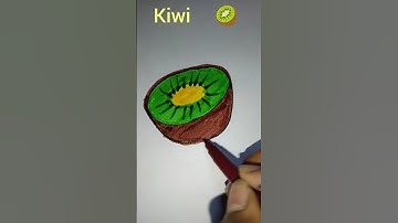 easy kiwi drawing | how to draw a kiwi step by step | how to draw a kiwi #kiwi #drawing
