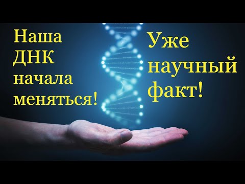 Видео: Как называется половина нити ДНК?