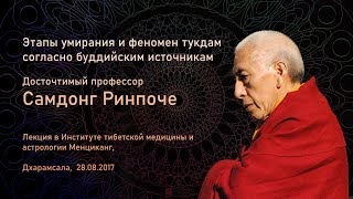 Самдонг Ринпоче. Этапы умирания и феномен тукдам согласно буддийским источникам