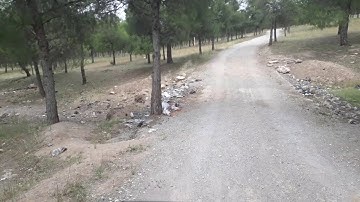 عبدالله العلمي سورة الجن