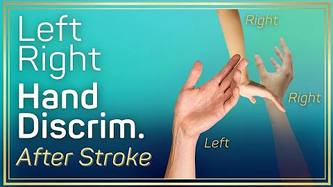 Left Right Discrimination Training Game for Stroke | 100 GMI Images | Occupational Therapy Recovery