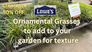 Lowes Clearance Plant Shopping