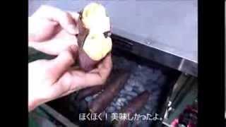 石焼きいも 　業務用電気いし焼き芋