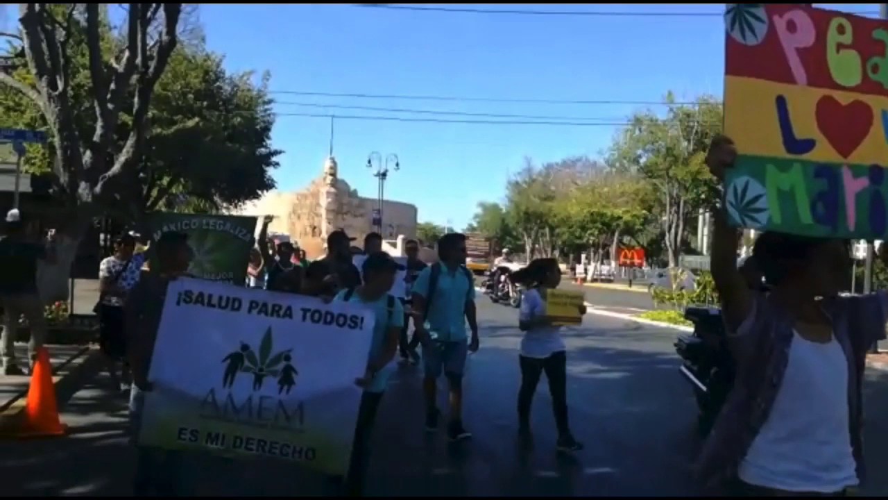 Marcha por la legalización de la mariguana en Mérida