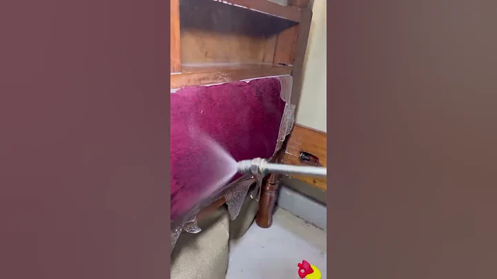 Fumigation of bedbugs?#cockroaches #bedbugs #fumigation #pestcontrol #pests #mosquito #housecleaning