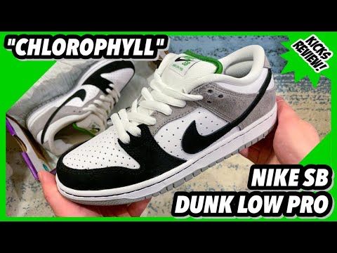 NIKE SB DUNK LOW PRO 