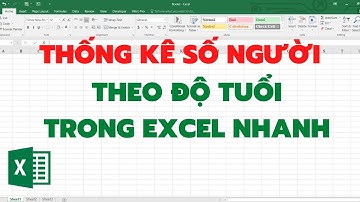 Thống kê theo độ tuổi trong Excel thông minh