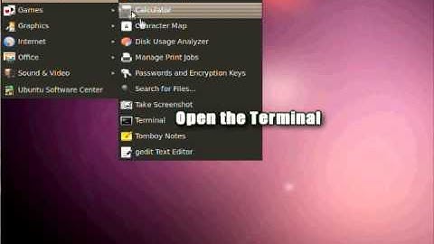 How to put Full Screen in VirtualBox Ubuntu 10.04