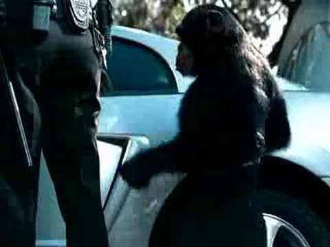 Suburban Auto Group Trunk Monkey 3 Want A Donut Youtube