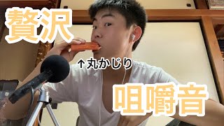 [ASMR]サーモン丸かじり！？超贅沢な咀嚼音