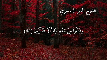 سورة الروم بصوت الشيخ ياسر الدوسري الاية ٤٥ الى ٤٨