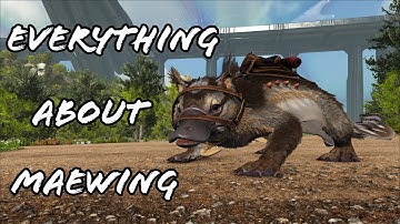 All abilities and everything you need to know about the Maewing in 2 minutes!!