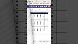Excel Shortcut Key Trick 😲 #excel#exceltutorial #excelformula#exceltraining#exceltricksandtips
