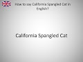 How to say California Spangled Cat in English? の動画、YouTube動画。