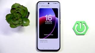 OPPO Reno 15 F – How to Check for Software Update screenshot 3
