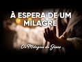 À Espera de um Milagre #Milagres de Jesus | Pr. Josué Brandão