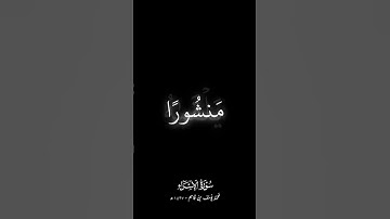 نخرج له يوم القيامة كتابا يلقاه منشورا | سورة الإسراء | @_YusufKassim  #اكسبلور#المصحف #راحة_نفسية