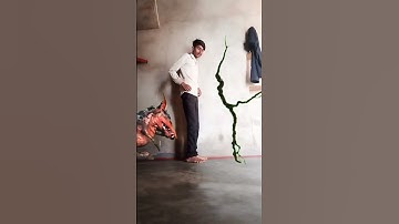 Wall crack vfx funny video editing by kinemaster || Kinemaster video editing tutorial | #magic #vfx