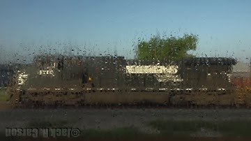 Woken by the king of horns | NS 9370 South at Victoria, TX 7/2/18