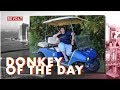 Golf Cart Gail | Donkey Of The Day