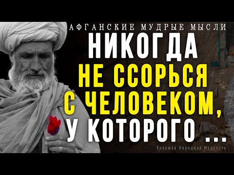 Короткие Но Очень Мудрые Афганские Пословицы И Поговорки | Цитаты, Афоризмы, Мудрые Мысли