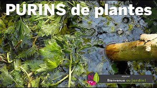 Download Lagu PURINS, MACÉRATIONS, DÉCOCTIONS DE PLANTES : LE VRAI LE FAUX AVEC LES CONSEILS DE PATRICK ET ROLAND MP3