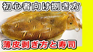 コウイカさばき方　寿司、刺身切り方　コウイカ捌き方から寿司How to filet Cuttlefish