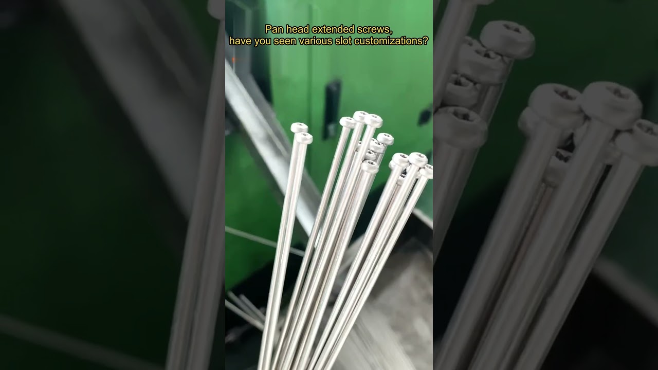 Pan head extended screws have you seen various slot customizations screw? 