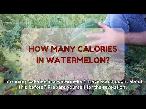 How Many Calories