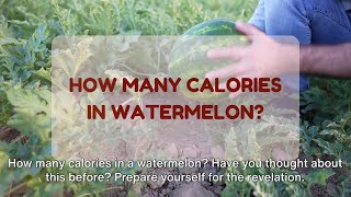How Many Calories In Watermelon? The Calorie Count