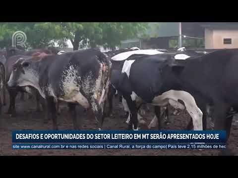 Desafios e oportunidades do setor leiteiro em Mato Grosso serão apresentados hoje | Canal Rural