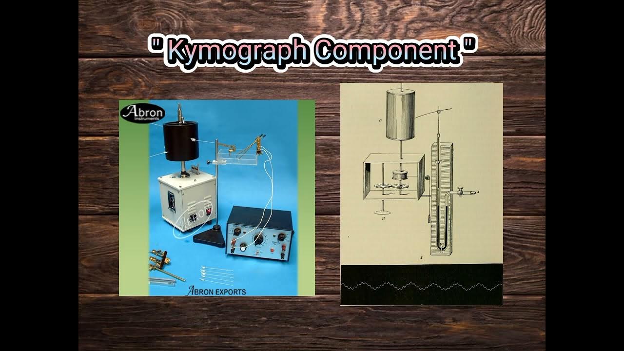 Parts and function of polygraph machine. YouTube