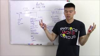 USMLE Renal 9: Anion Gap Explained (Acid Base, Graphs and More)