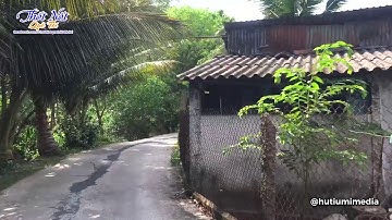 Đường Quê Thốt Nốt | Ông Mỗng - Thuận Hưng | Thốt Nốt Quê Tôi