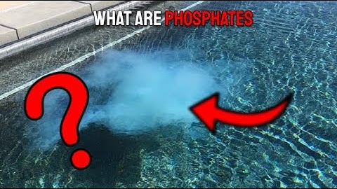 What are phosphates?