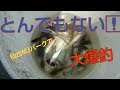 【釣り】東北は宮城の仙台3Mパークでウソみたいな❗大爆釣‼️